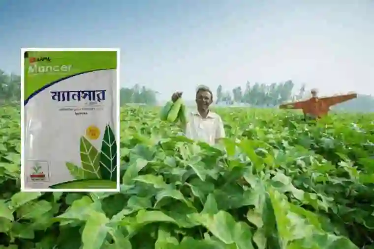 কার্বেন্ডাজিম এর দাম কত