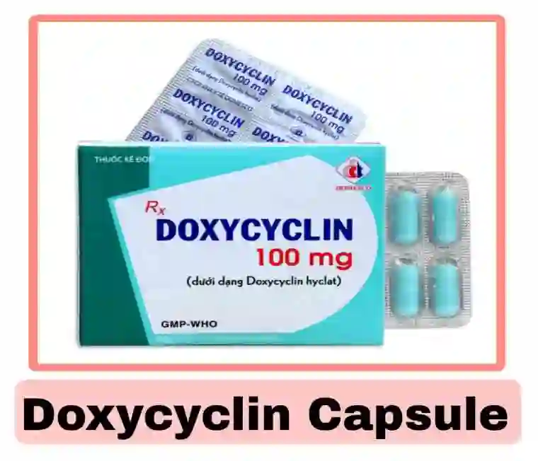 ডক্সিসাইক্লিন ১০০ এর কাজ কি [খাওয়ার নিয়ম ও দাম]