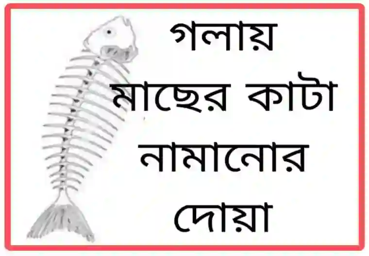 গলায় মাছের কাটা নামানোর দোয়া [আরবি ও বাংলা]